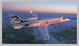 Charter Planes:  Lear 45/60